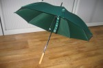 paraplu groen